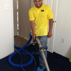 professional carpet steam cleaning services